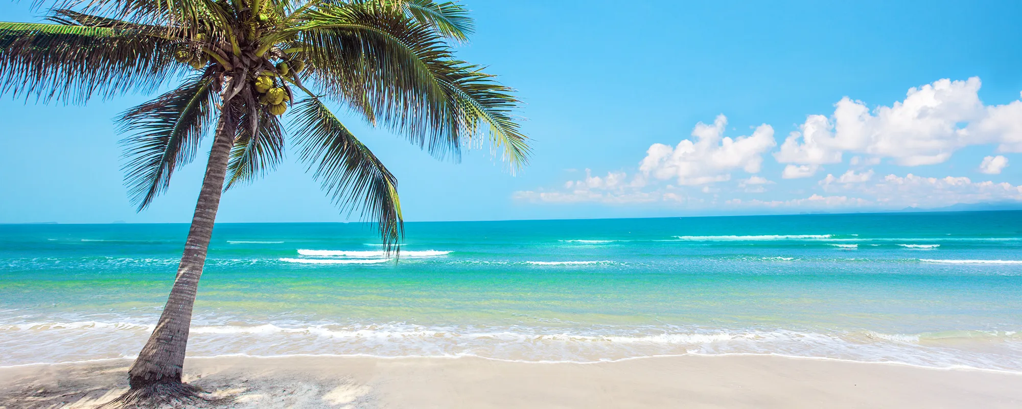 Paul Christianson DDS: Suntree Dental